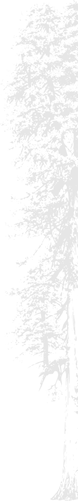 a tree background for communication section